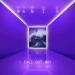 Fall Out Boy feat. Burna Boy - Sunshine Riptide